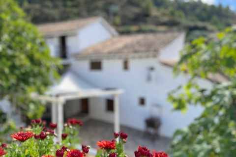 Herregård i Montefrio, Granada, Montefrio - € 375 000 | Ref: GVCCDA - foto 43